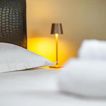 La Palais Ducal * Nancy