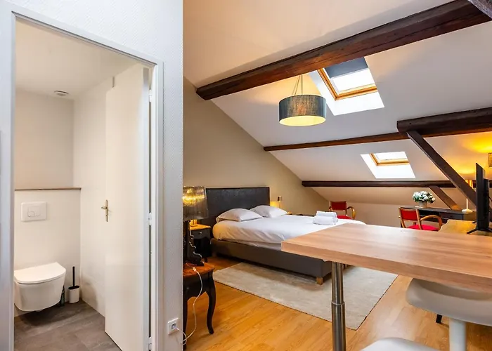 شقة La Palais Ducal *